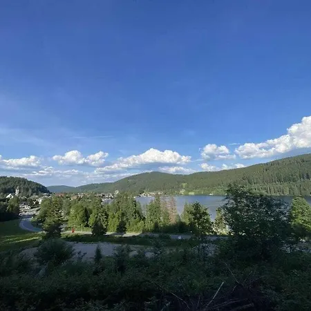 No 8 - Heiligbrunnenstrasse 8 * Titisee-Neustadt